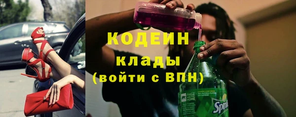 эйфоретик Арсеньев