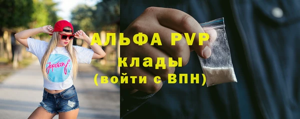 эйфоретик Арсеньев
