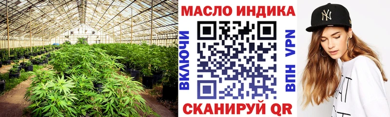 Купить  Верещагино  ТГК концентрат 