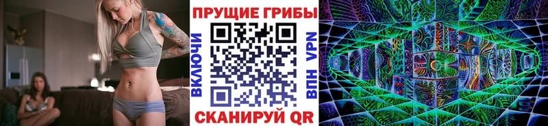 Купить Верещагино Галлюциногенные грибы Cubensis